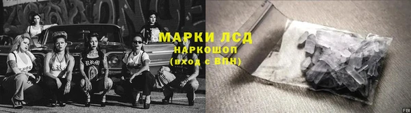 шишки Баксан