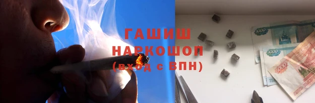сатива Балахна