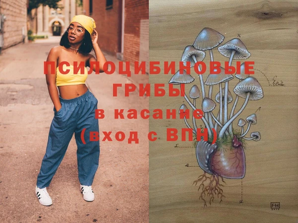 сатива Балахна