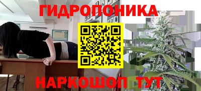 индика Волгодонск
