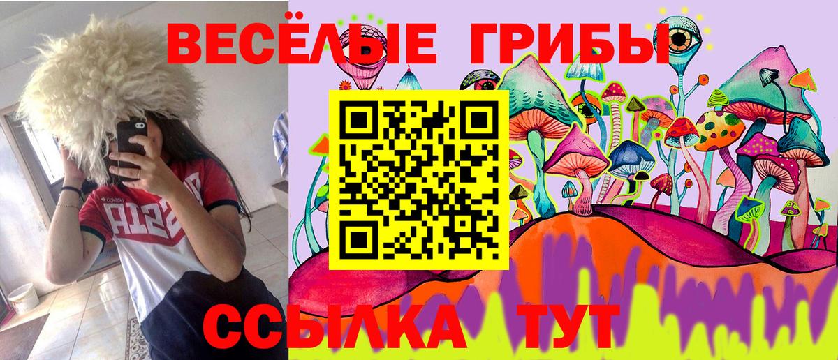Галлюциногенные грибы Cubensis  Псилоцибиновые грибы прущие грибы  Вход с VPN  Лениногорск 