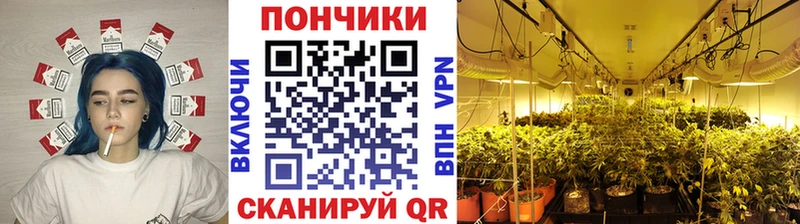 МАРИХУАНА сатива  магазин    Лениногорск 